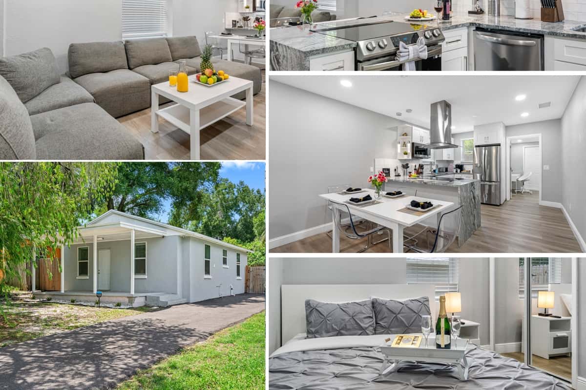 Modern City Haven