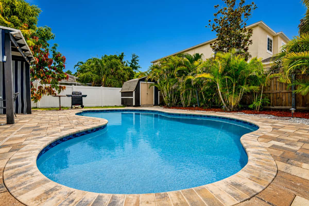 Paradise Palms