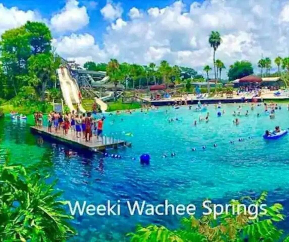 A natural tourist attraction located in Weeki Wachee, Florida, where underwater performances by "mermaids," women wearing fish tails as well as other fanciful outfits, can be viewed in an aquarium-like setting in the spring of the Weeki Wachee River.