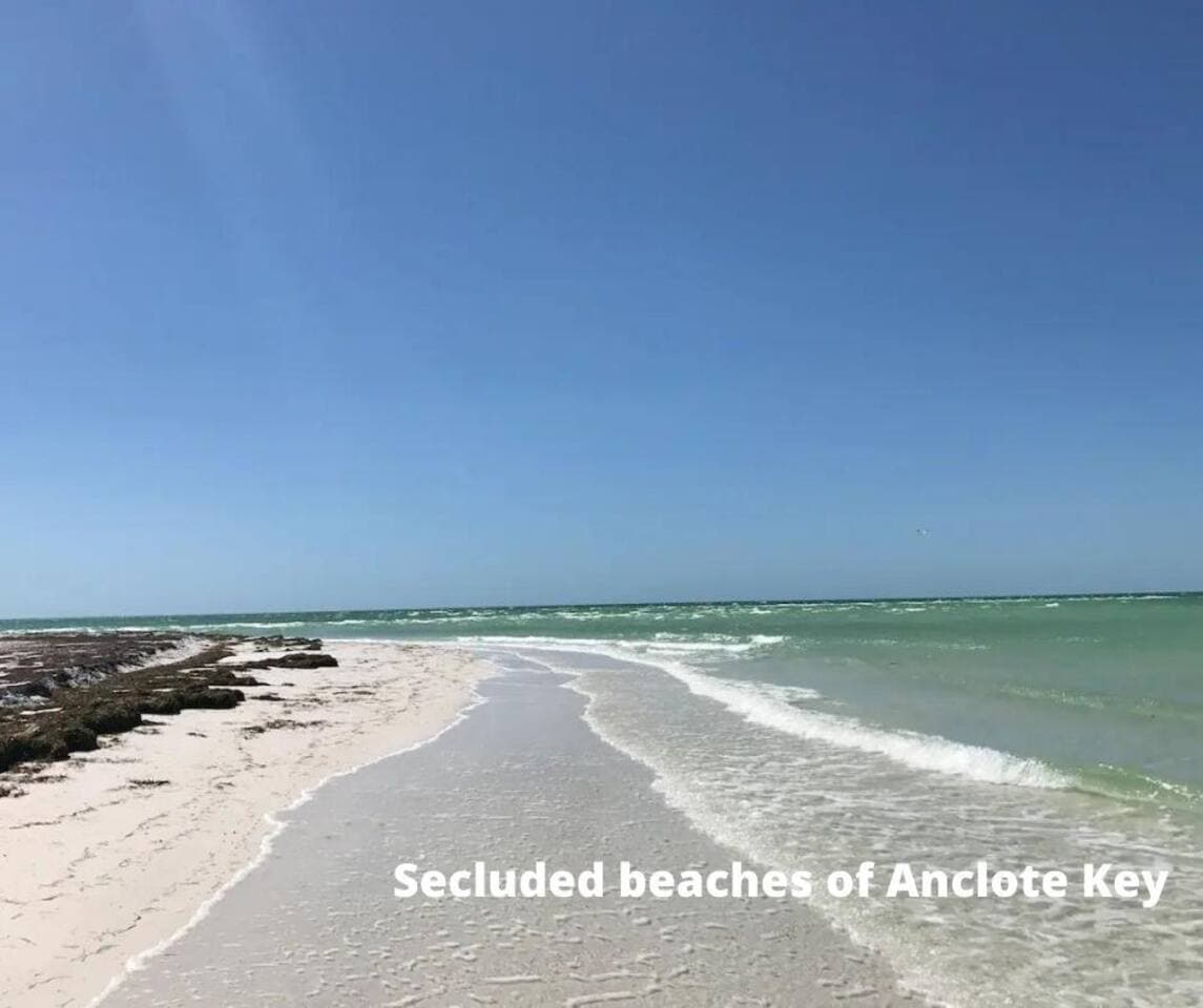 Enjoy the blue-green Gulf of Mexico waters that lap gently along the sandy beaches of the four islands that make up Anclote Key Preserve State Park - Anclote Key, North Anclote Bar, South Anclote Bar, and Three Rooker Island. Enjoy grill and picnic!