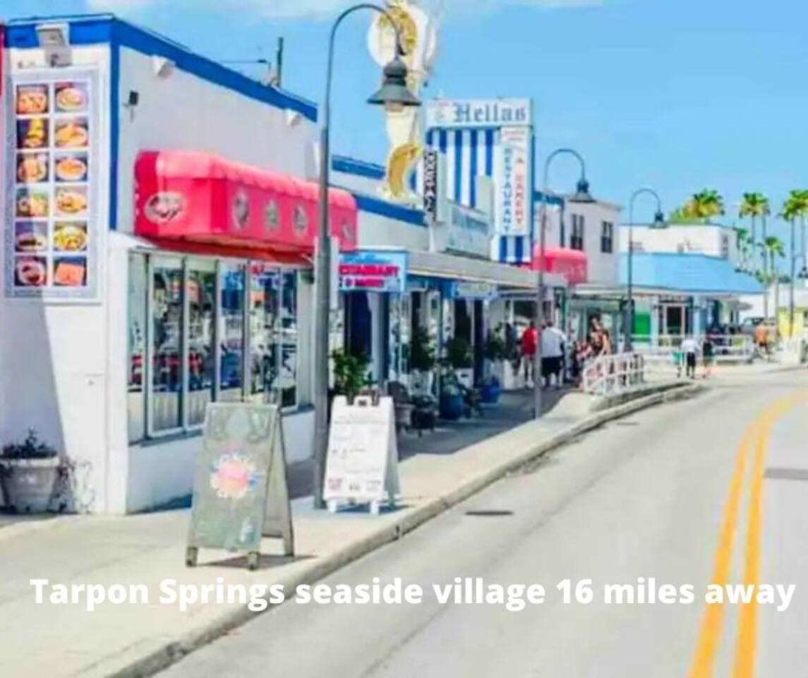 Tarpon Springs is a beautiful city filled with culture, great food, and family-friendly fun. The sponge docks are a great place to visit. The shops have beautiful clothes and many interesting items to look at and buy.