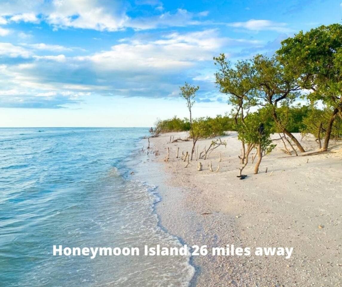 Our stunning property is located near amazing beaches and other places where you can do a lot of activities! Your family and friends will never get bored during your stay! Book with us now!