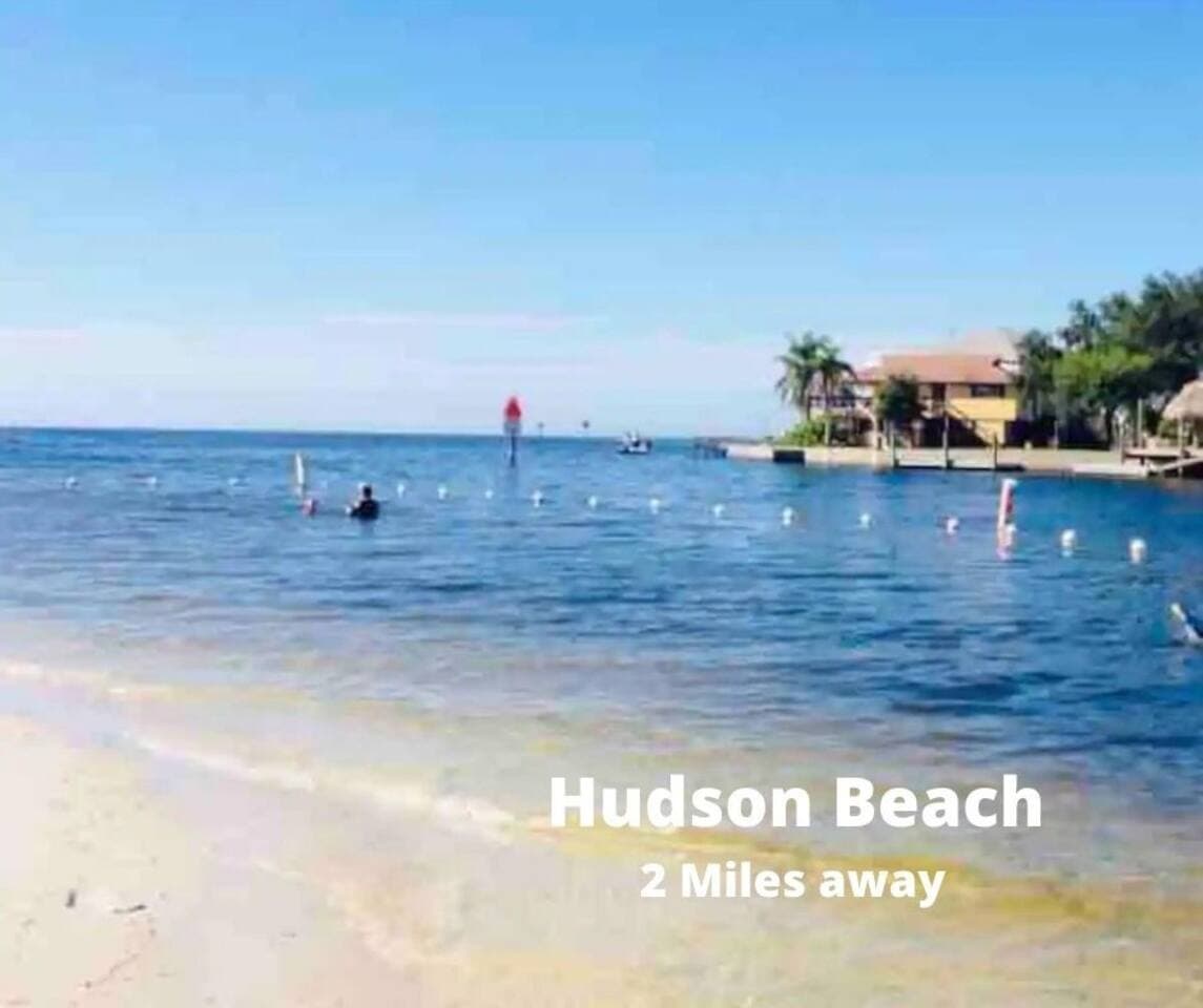 This small beach is located on Florida's west coast about 40 miles north of St. Petersburg. Make the most of your stay and have a great time at the beach!