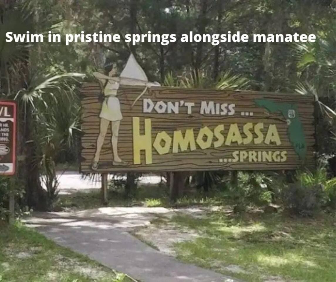 Discover the wild side of Florida with endangered Florida panther, red wolf, manatee & whooping crane, plus black bear, bobcat & of course, alligators. Gaze down into the depths of the first-magnitude spring & perhaps catch a glimpse of fish.