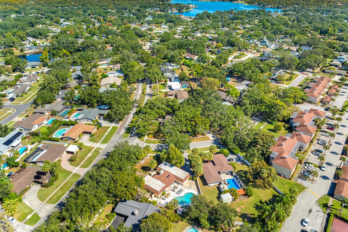 Aerial View of the Neighborhood