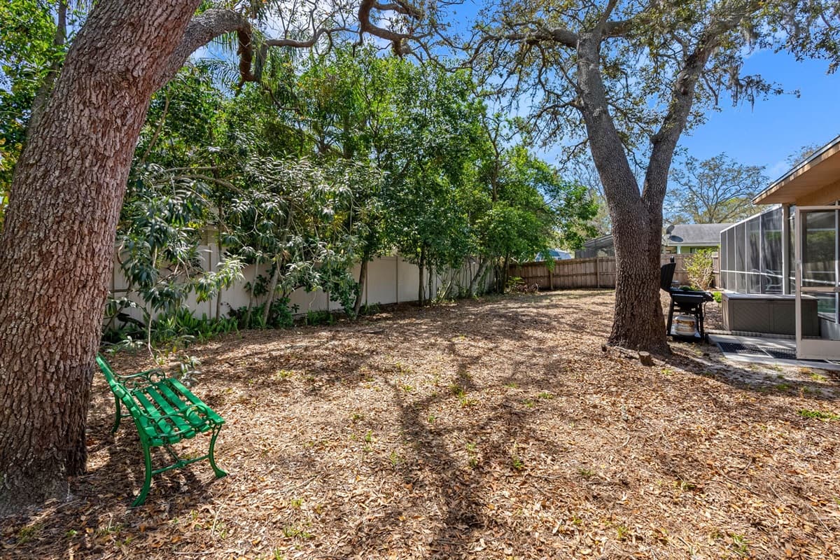 Backyard