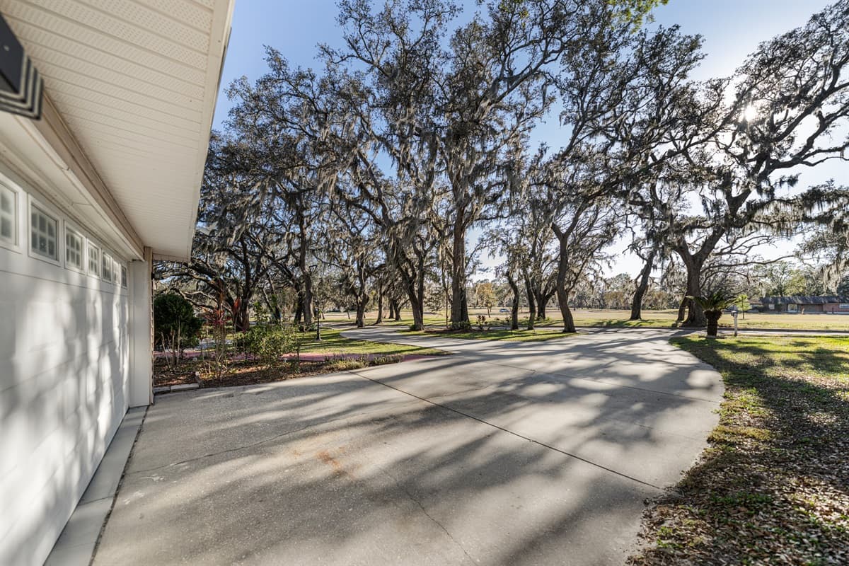 Driveway