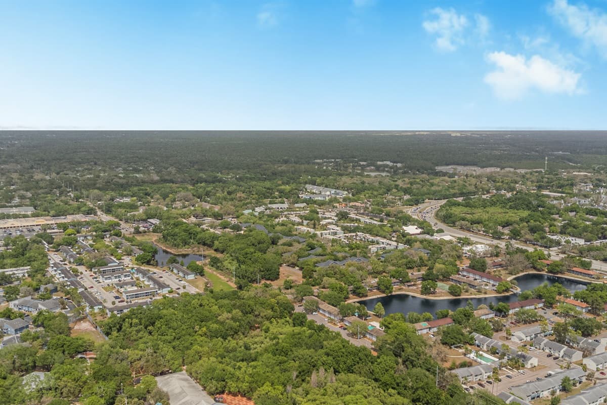 Aerial View of the Neighborhood