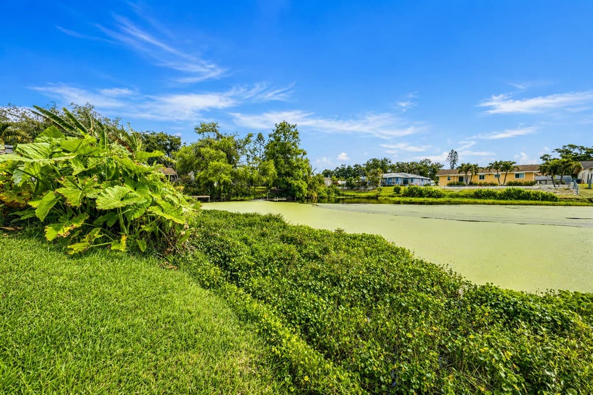 Serene backyard overlooking tranquil water, surrounded by tropical plants and open sky.