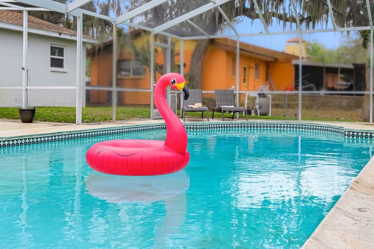 A screened pool oasis designed for comfort, safety, and year-round enjoyment.