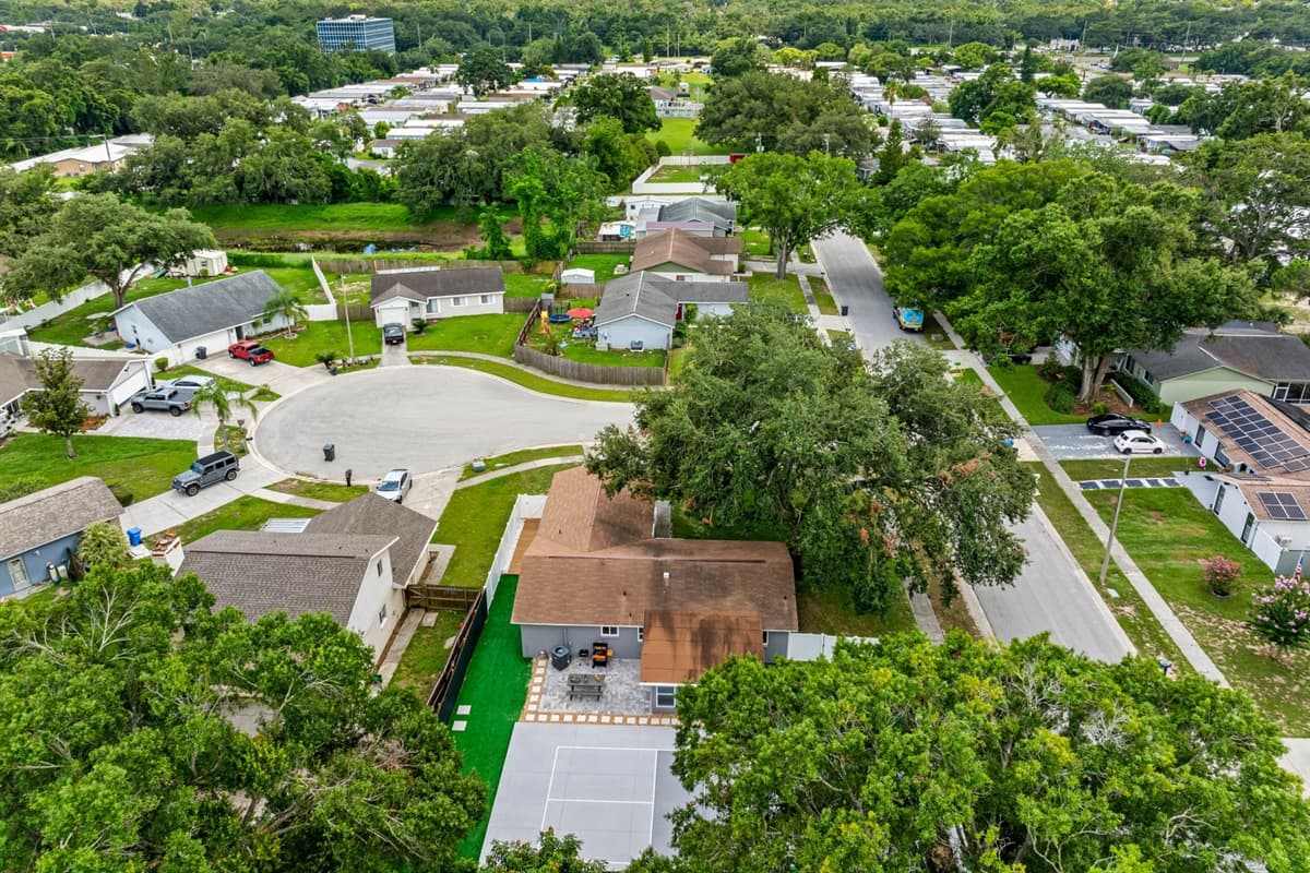 Aerial View of the Neighborhood