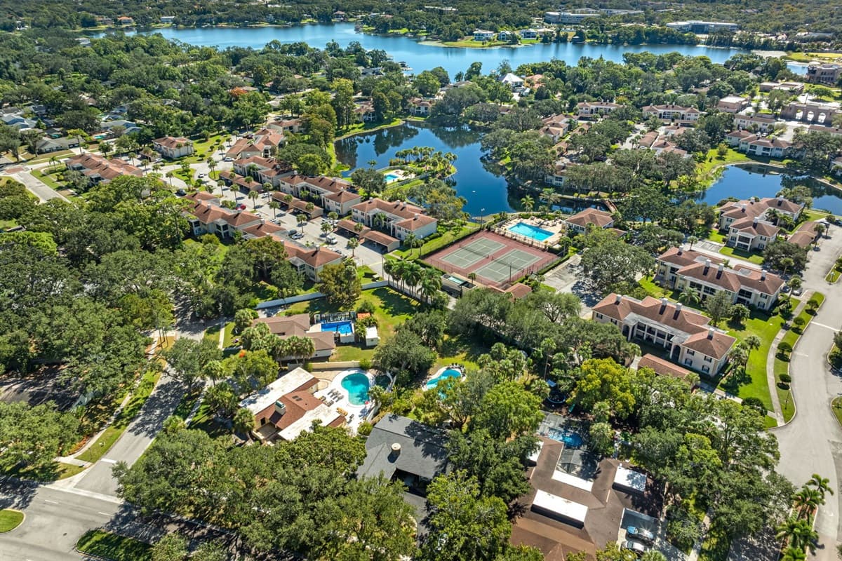 Aerial View of the Neighborhood