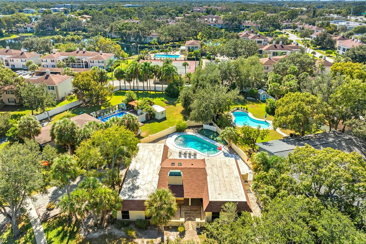 Aerial View of the Neighborhood