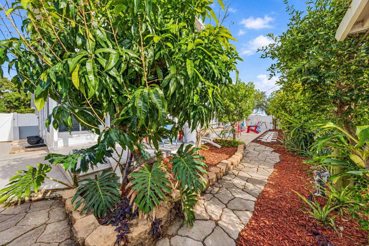 Beautiful garden pathway with lush greenery leading through the backyard—adds charm and tranquility 