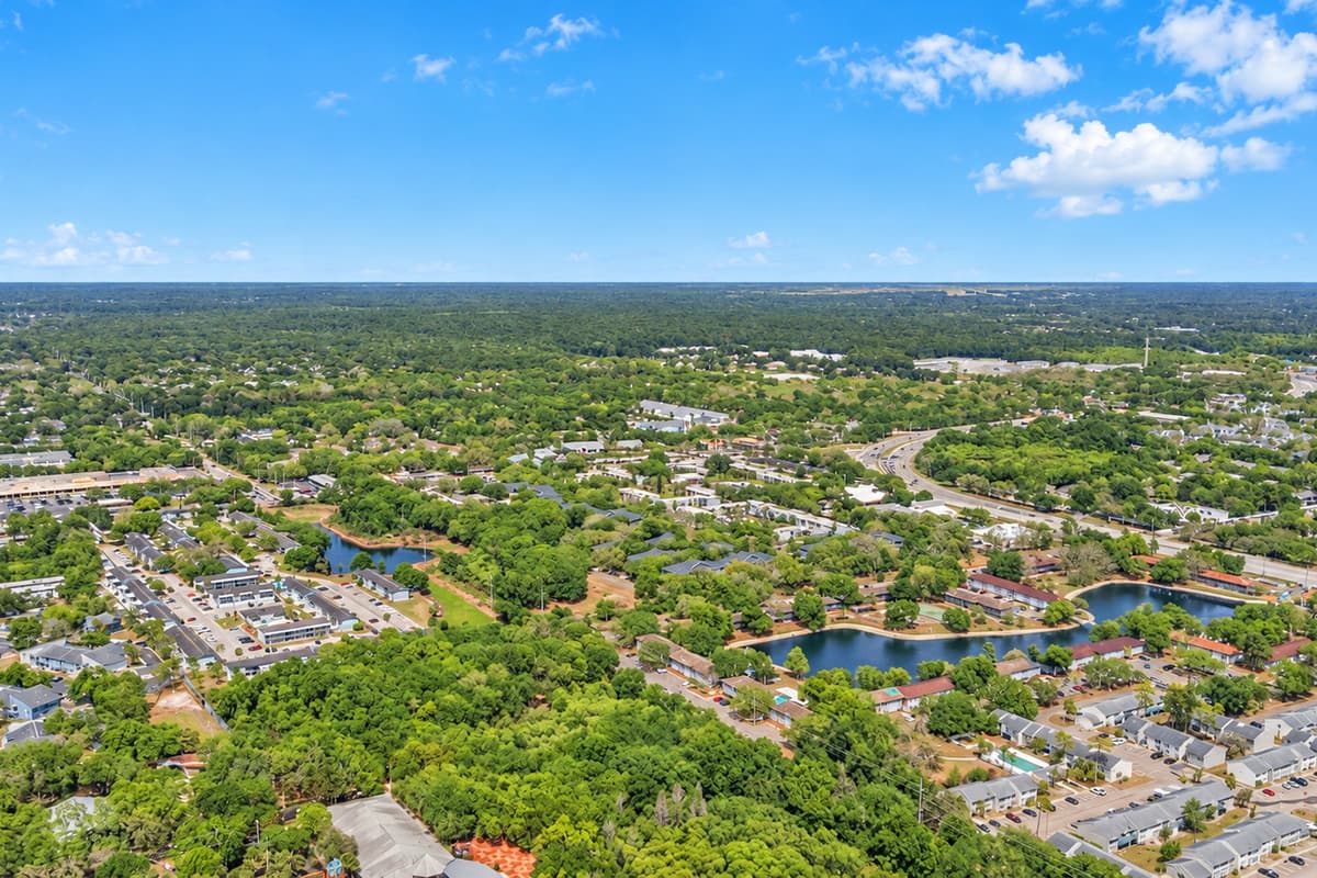 Aerial View of the Neighborhood