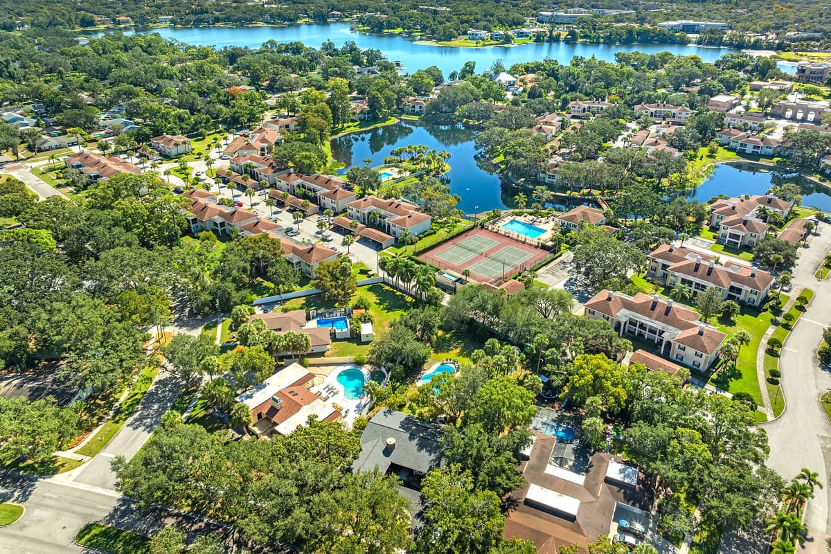 Aerial View of the Neighborhood