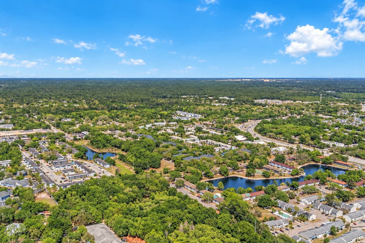 Aerial View of the Neighborhood
