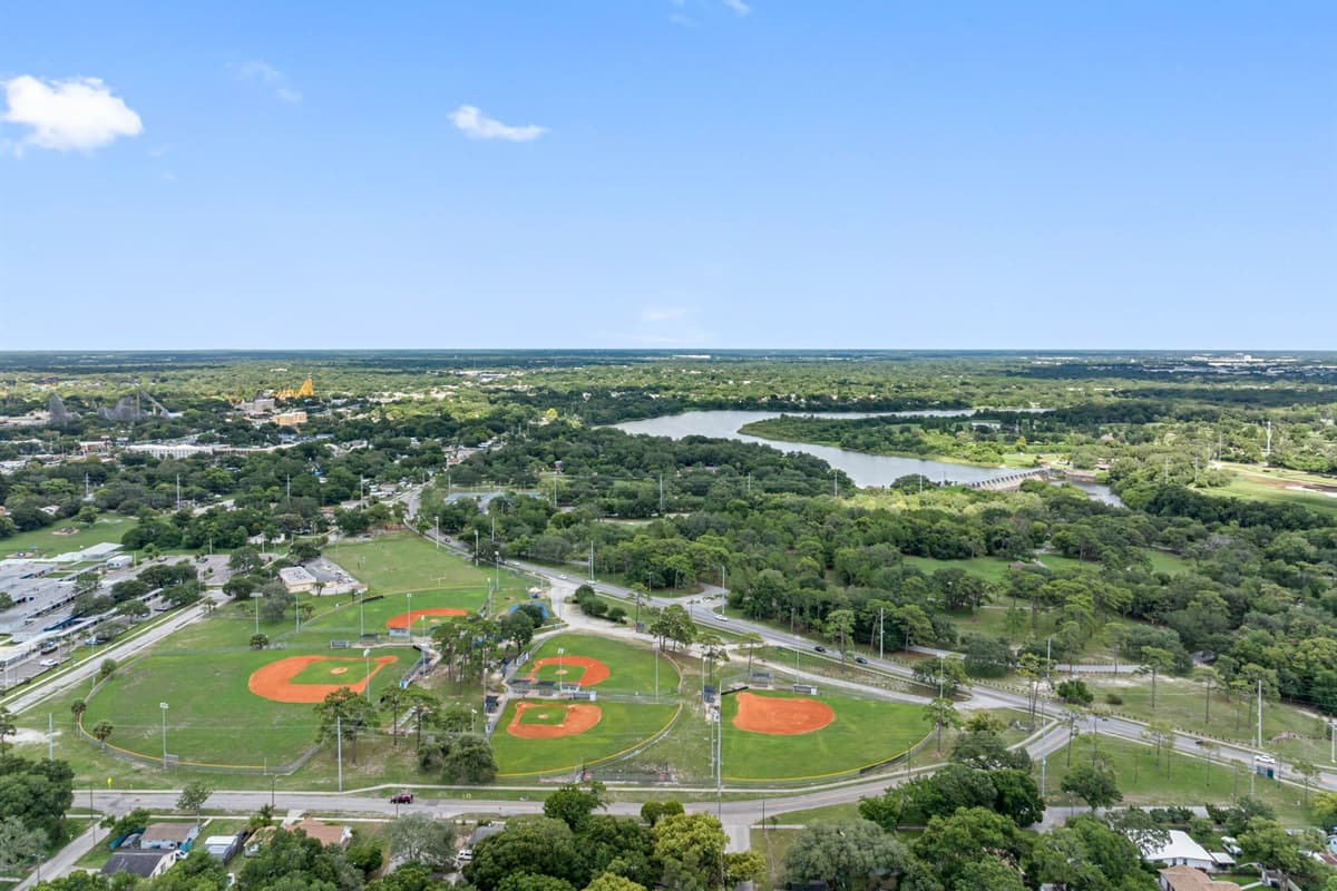 Aerial view of the neighborhood