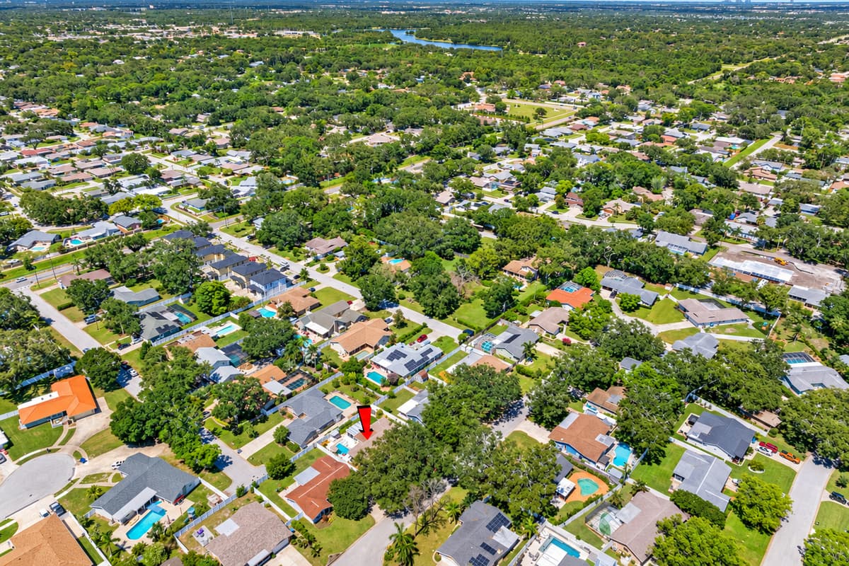 Aerial View of the Neighborhood