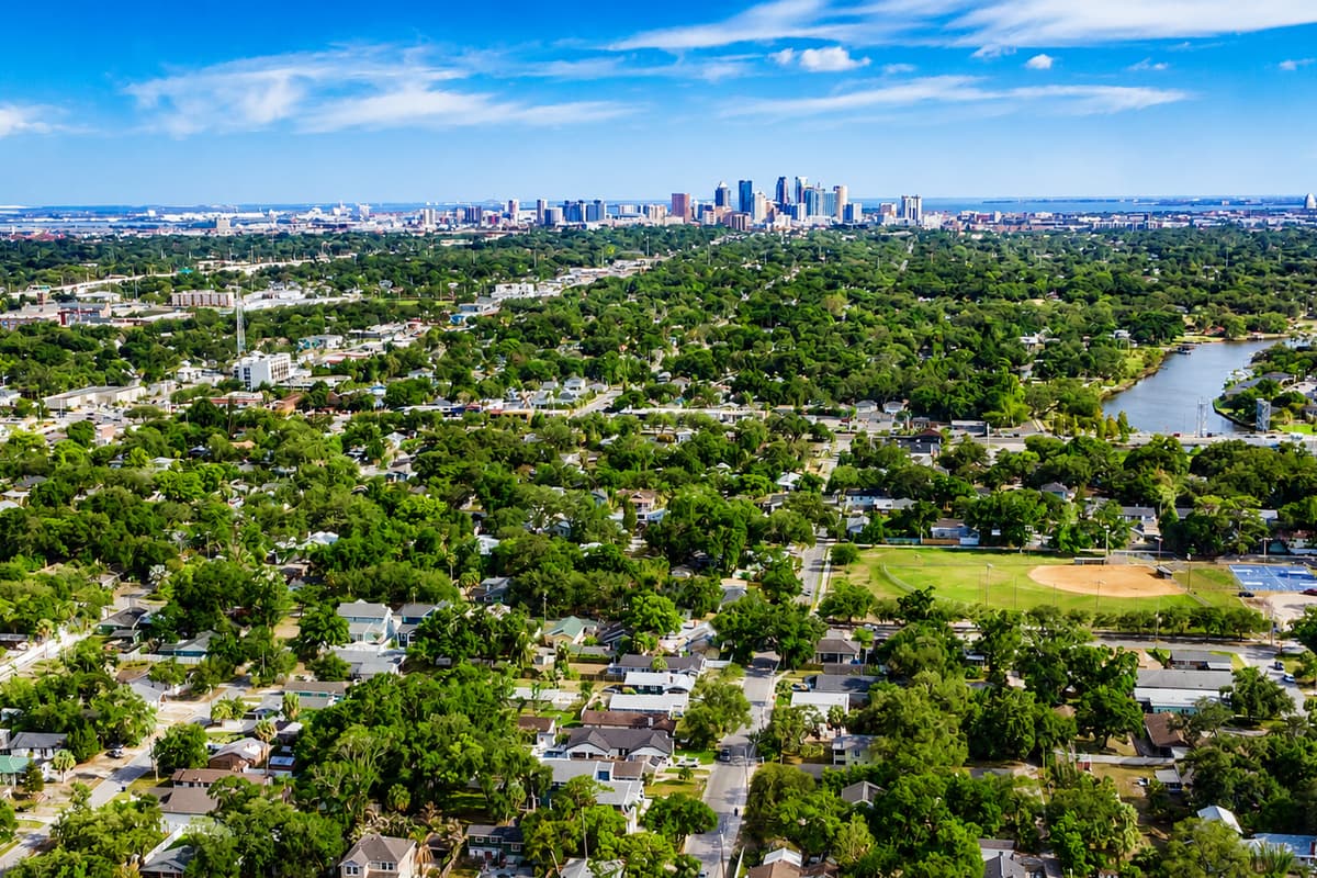 Aerial View of the Neighborhood