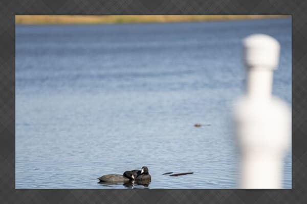 Glide through the calm waters of the nearby lake, immerse yourself in the tranquility of nature, and create unforgettable memories along the way.