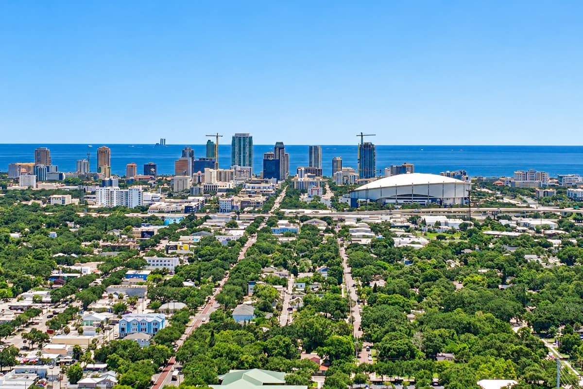 Aerial View of the Neighborhood
