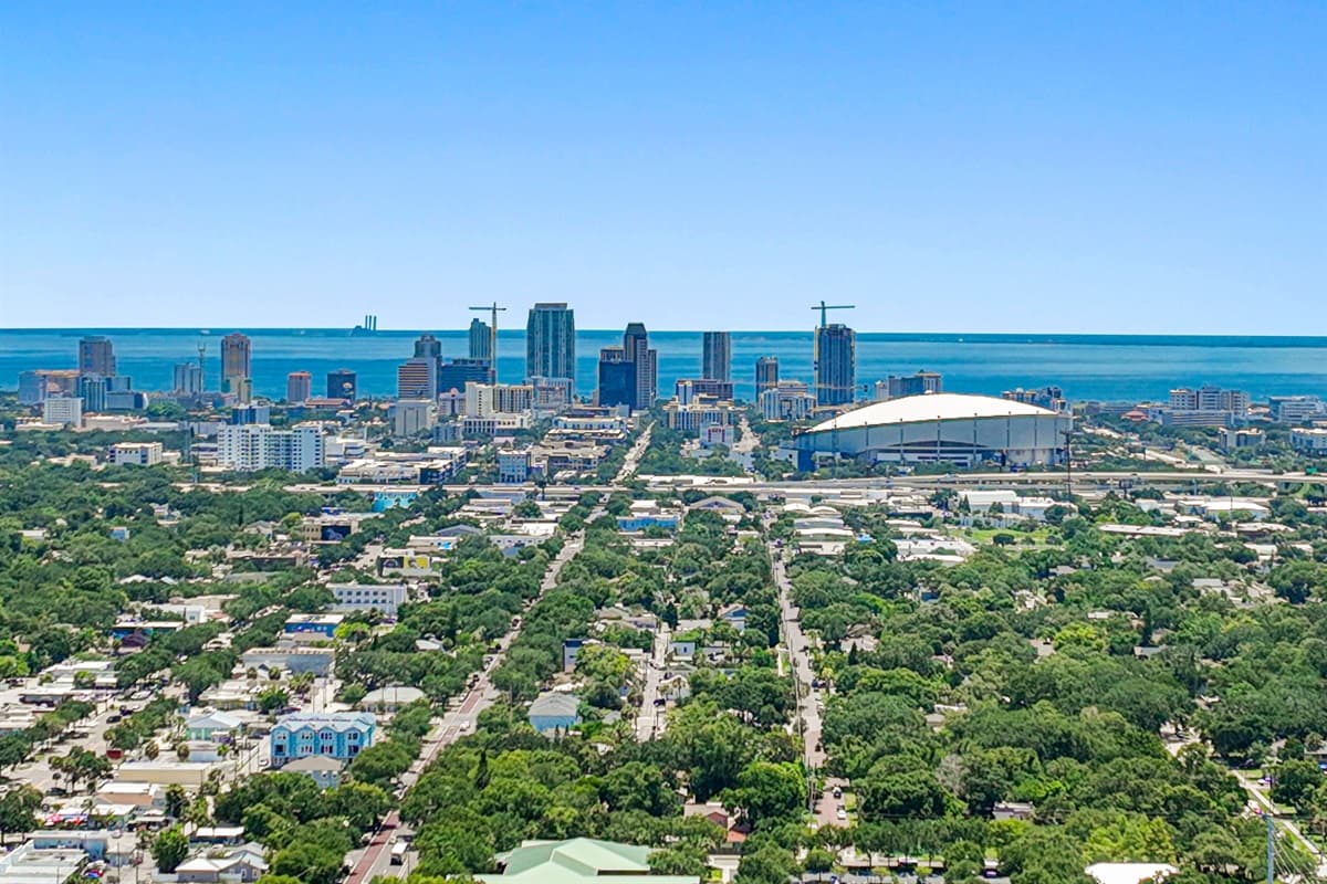 Aerial View of the Neighborhood
