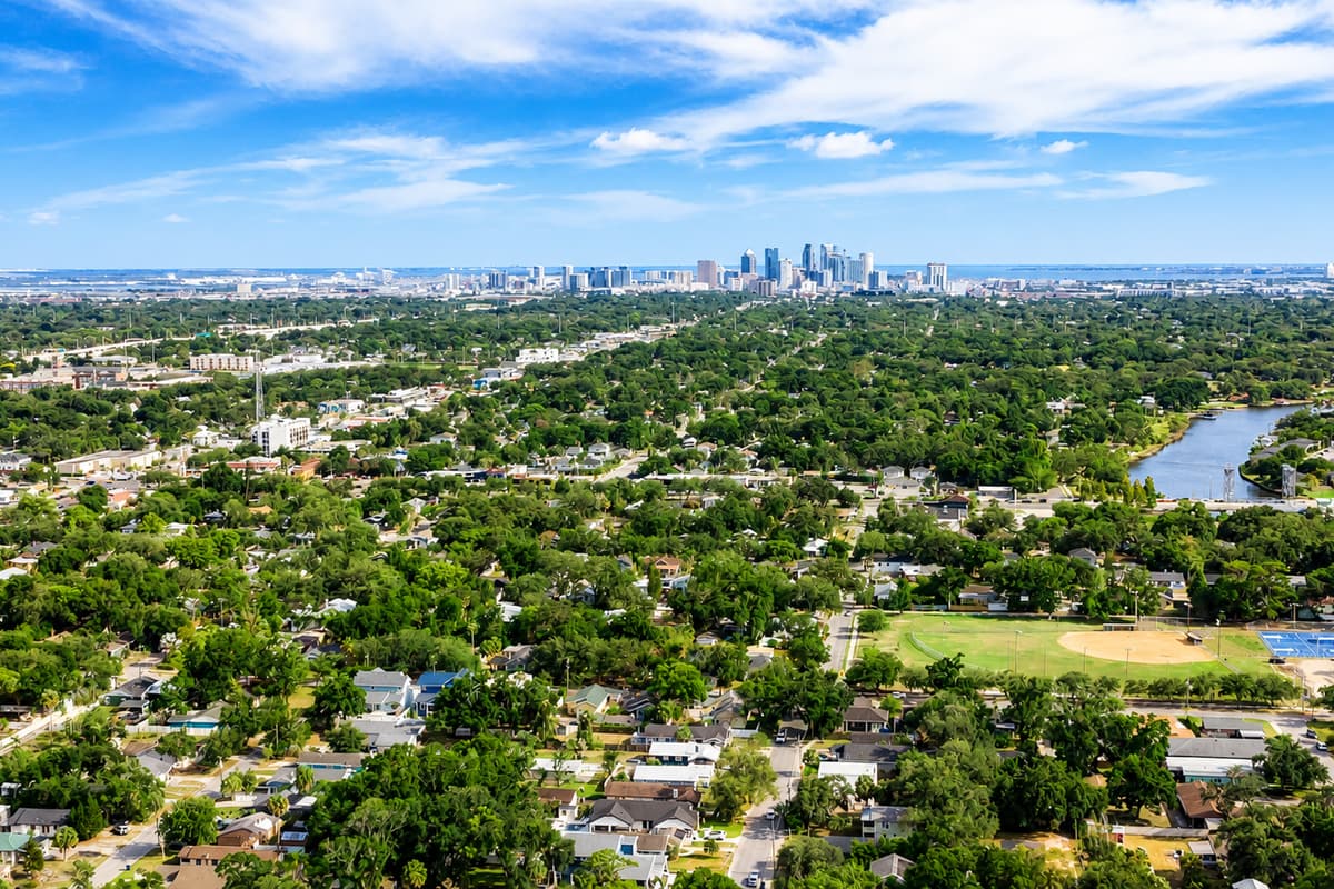 Aerial View of the Neighborhood
