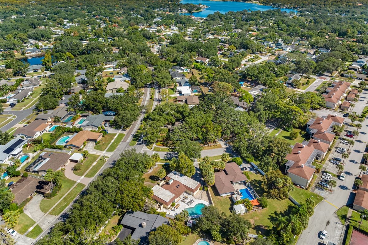 Aerial View of the Neighborhood
