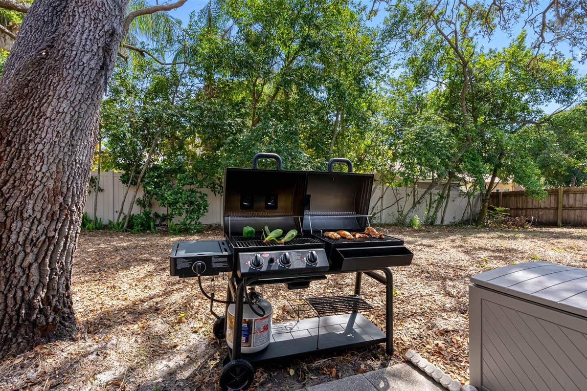 Outdoor BBQ Grill