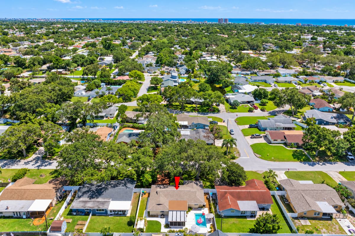 Aerial View of the Neighborhood