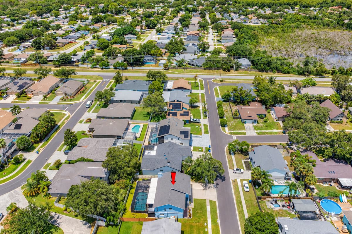 Aerial View of the Neighborhood