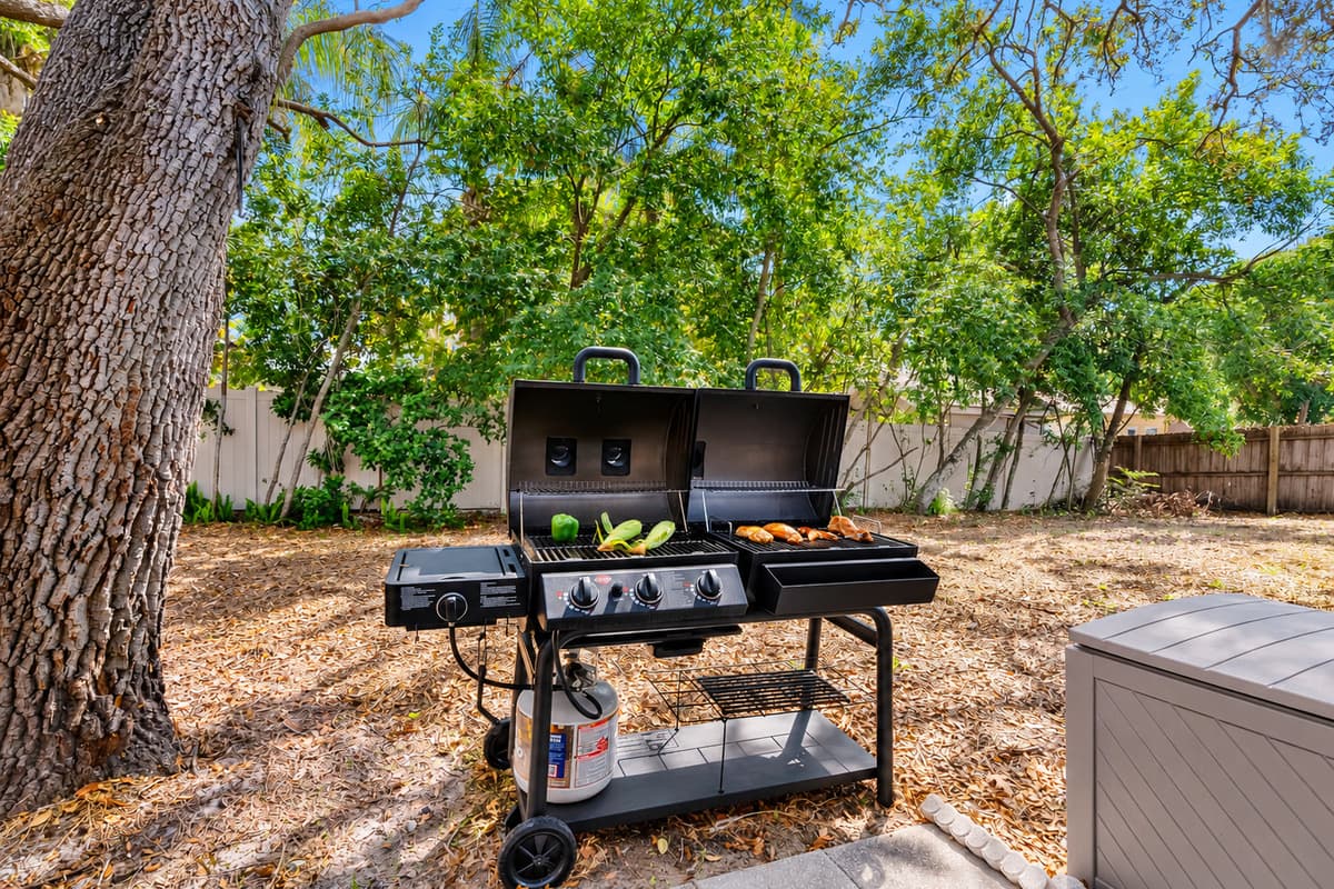 Outdoor BBQ Grill