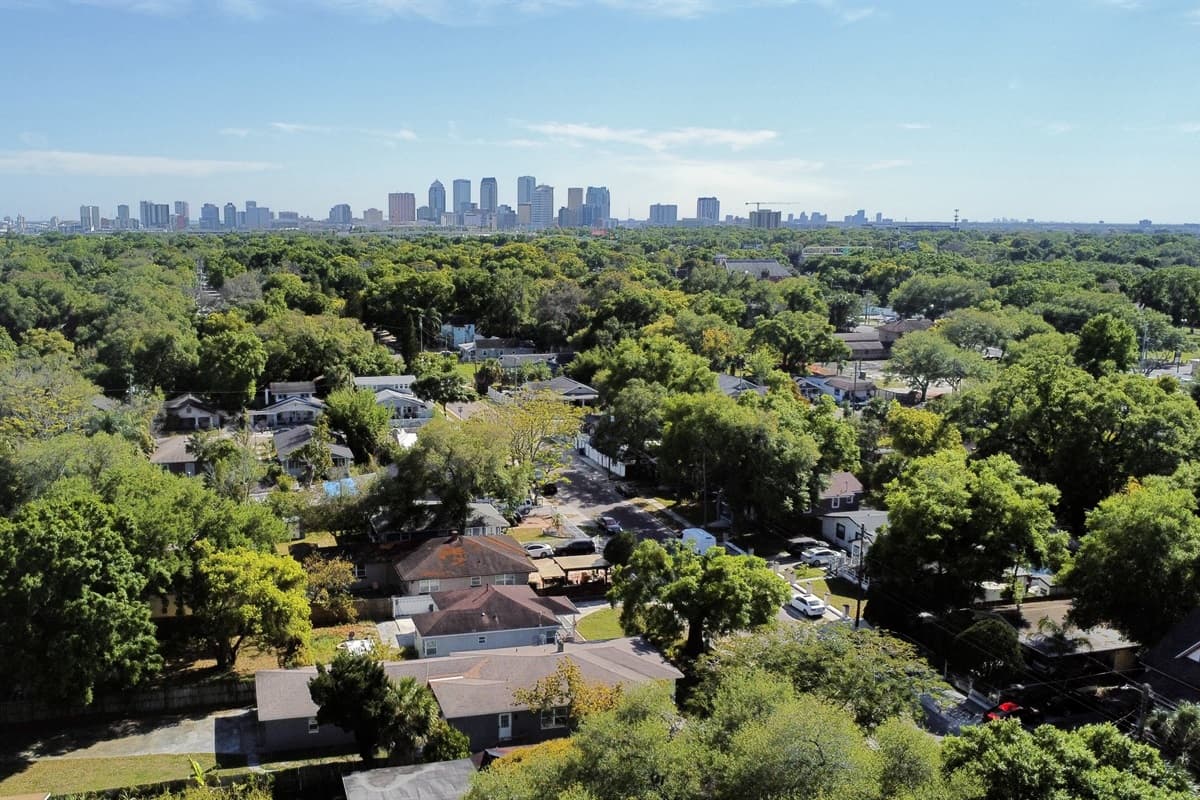 Aerial View of the Neighborhood