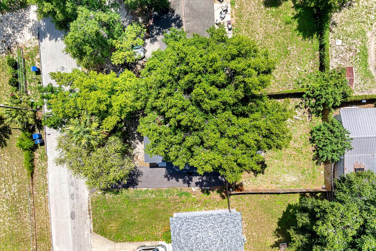 Aerial view of the neighborhood