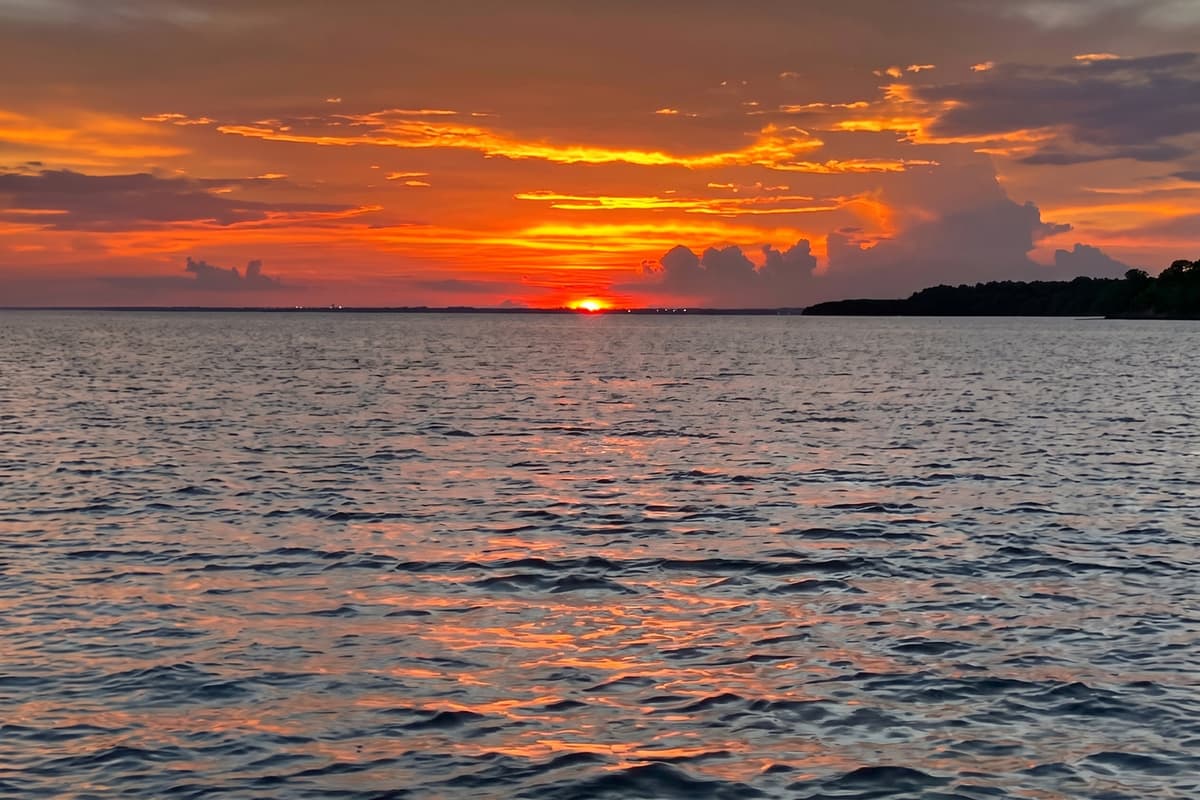 End the day where the sky puts on its finest show! Trade the day's plans for a few quiet minutes beside the water as sunset turns Tampa Bay ruby and gold. These are the peaceful, vivid moments guests treasure long after checkout and dream of reliving.