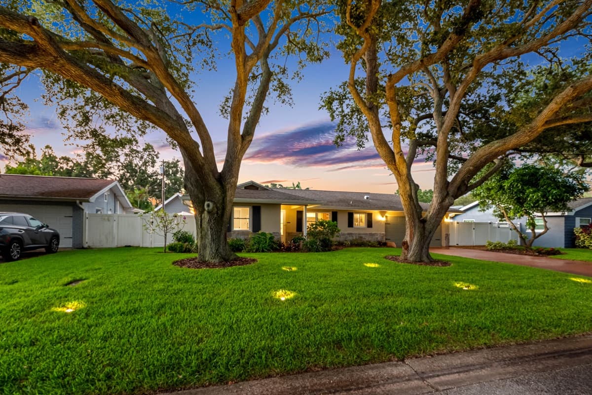 Front Yard