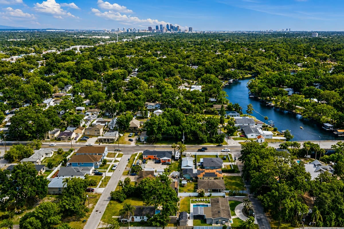 Aerial View of the Neighborhood
