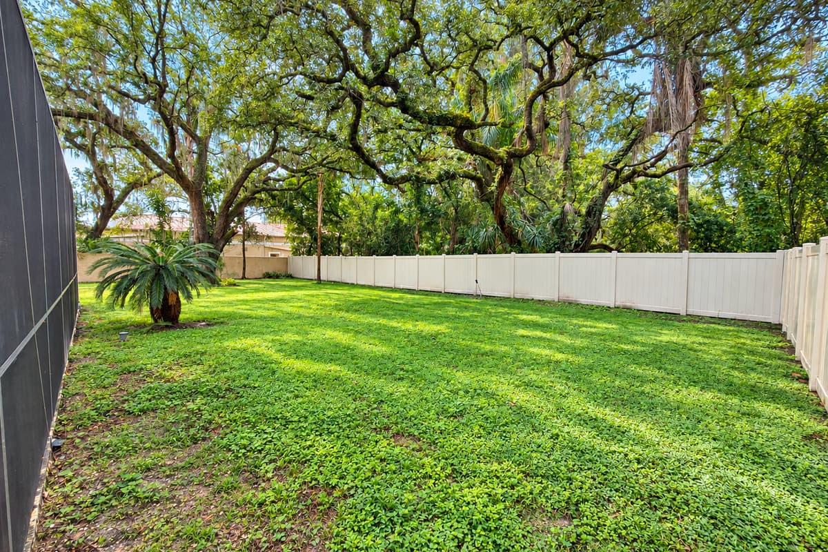 Backyard
