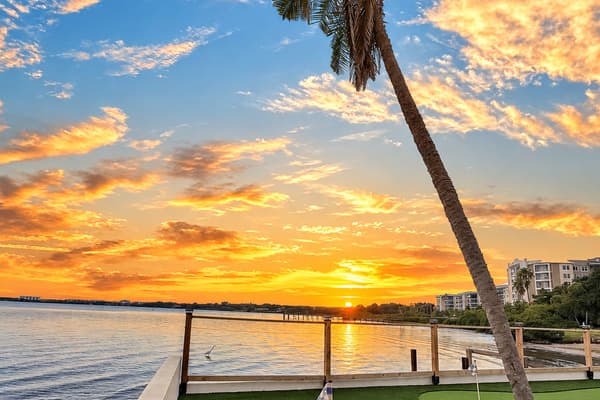 A sky painted gold over the water. Palms, the waterfront rail and a sunset that lights up the bay. Your nightly entertainment, free of charge.