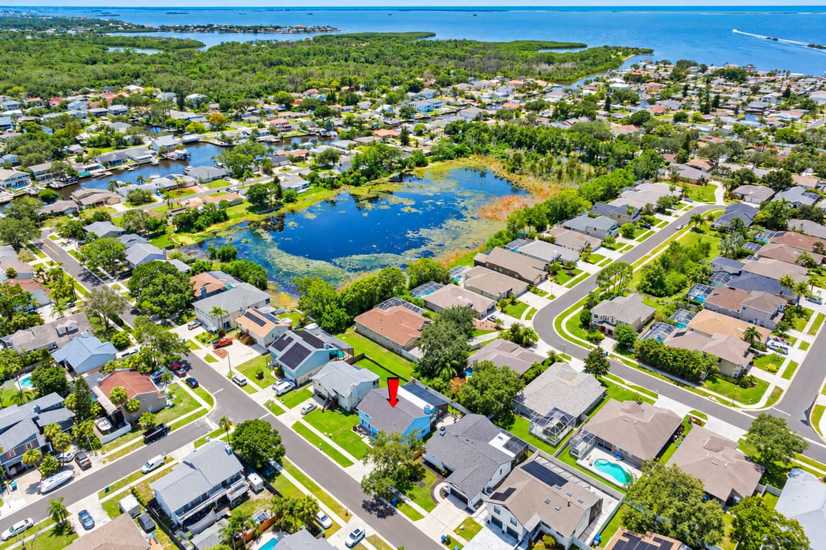 Aerial View of the Neighborhood