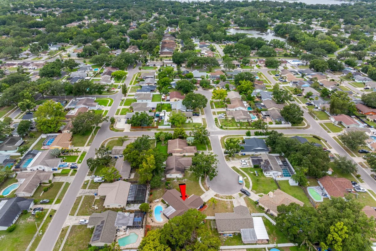Aerial View of the Neighborhood