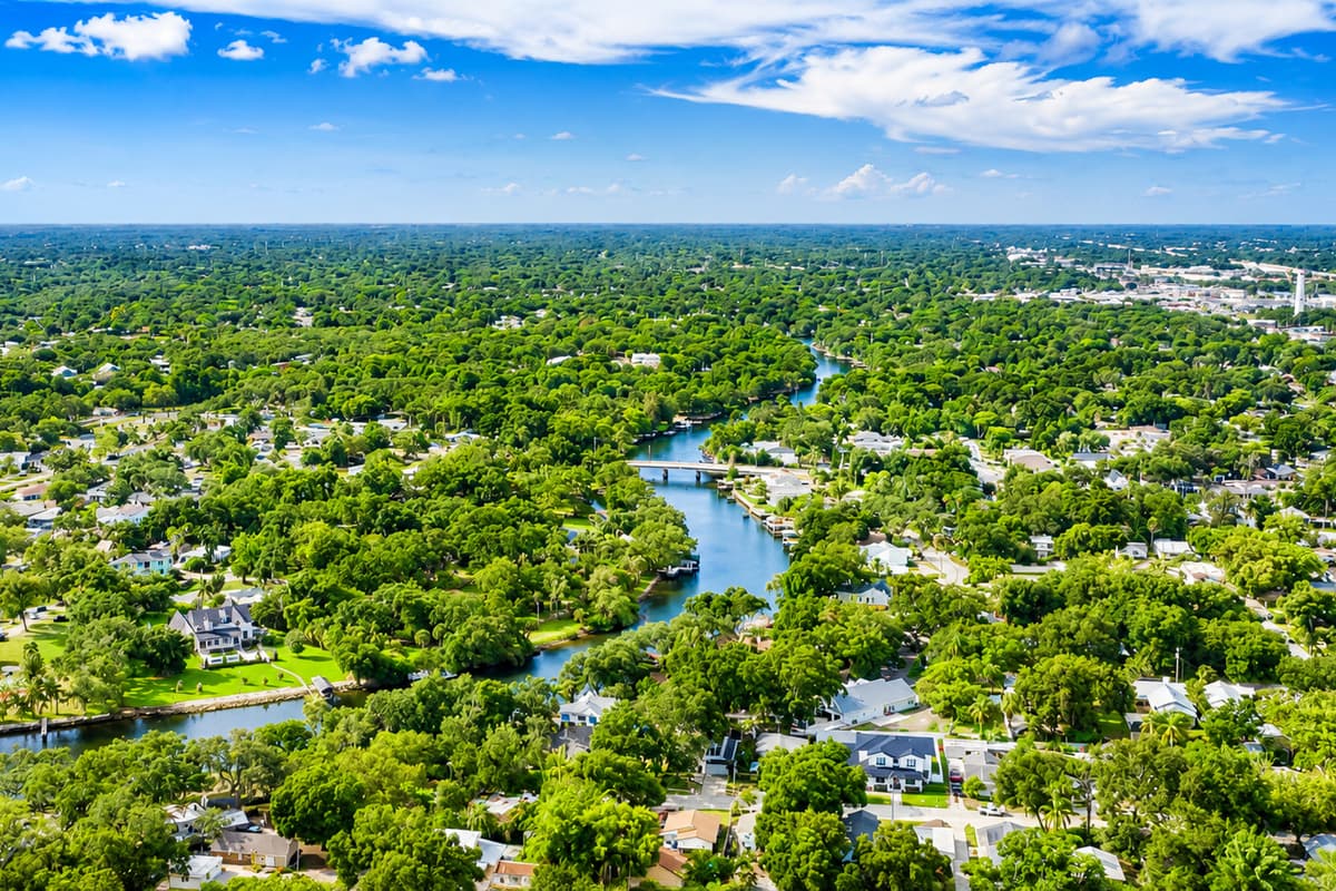 Aerial View of the Neighborhood