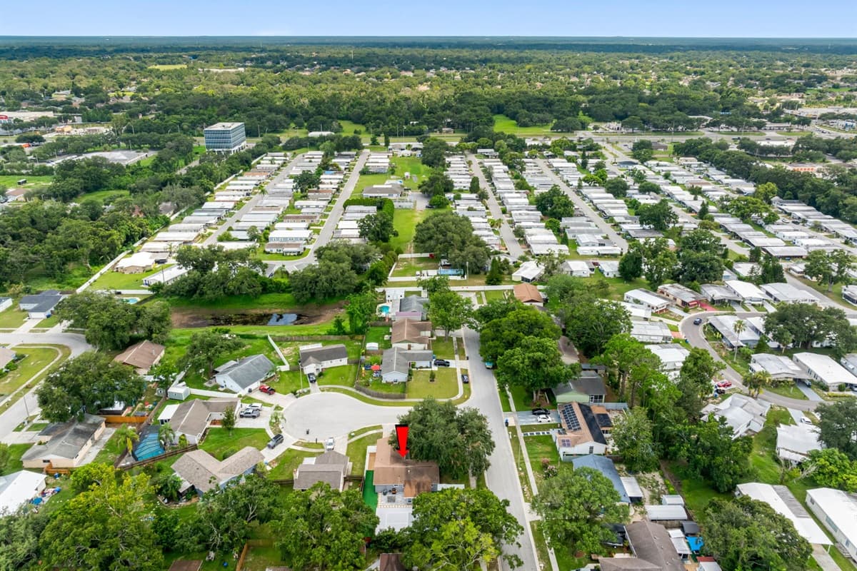 Aerial View of the Neighborhood