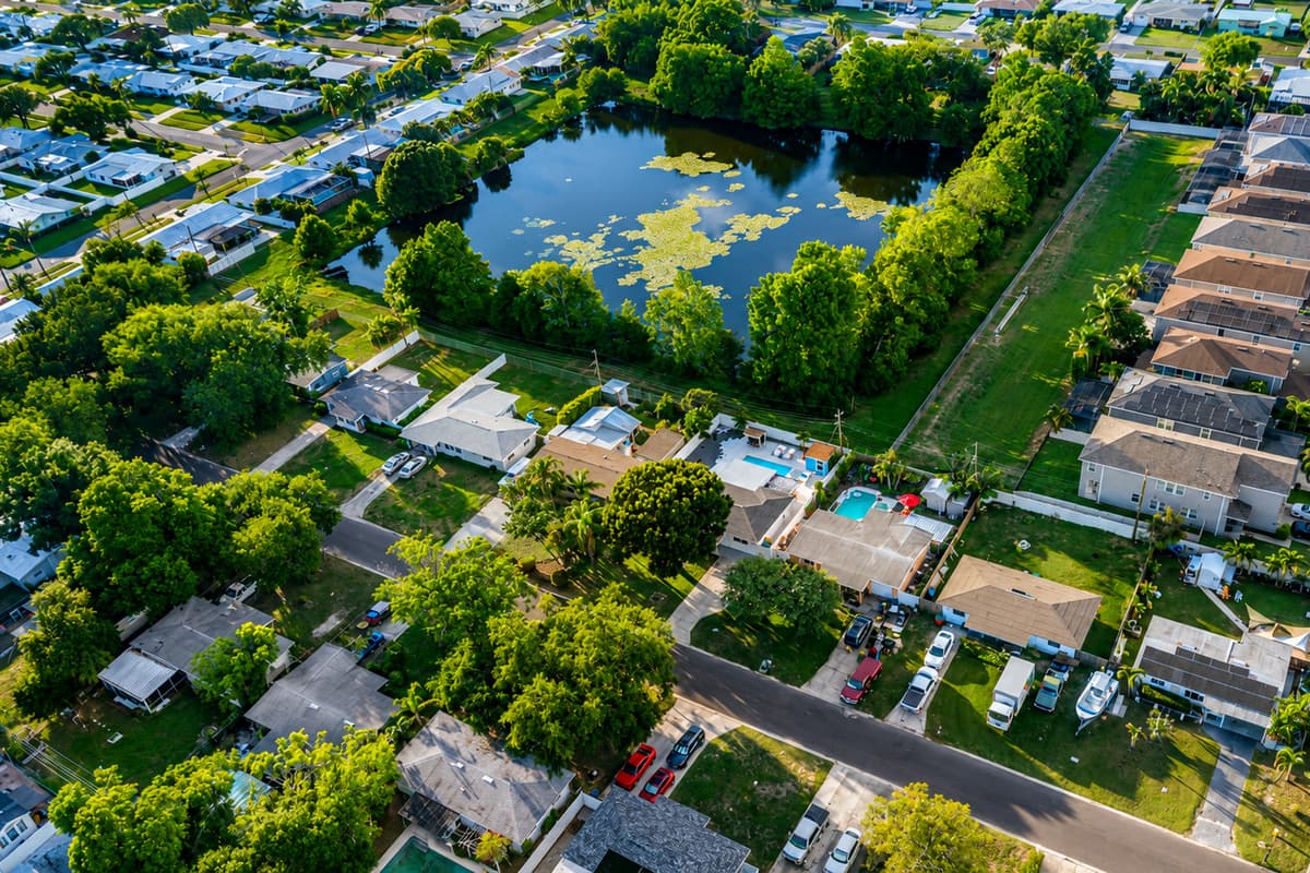 Aerial View of the Neighborhood