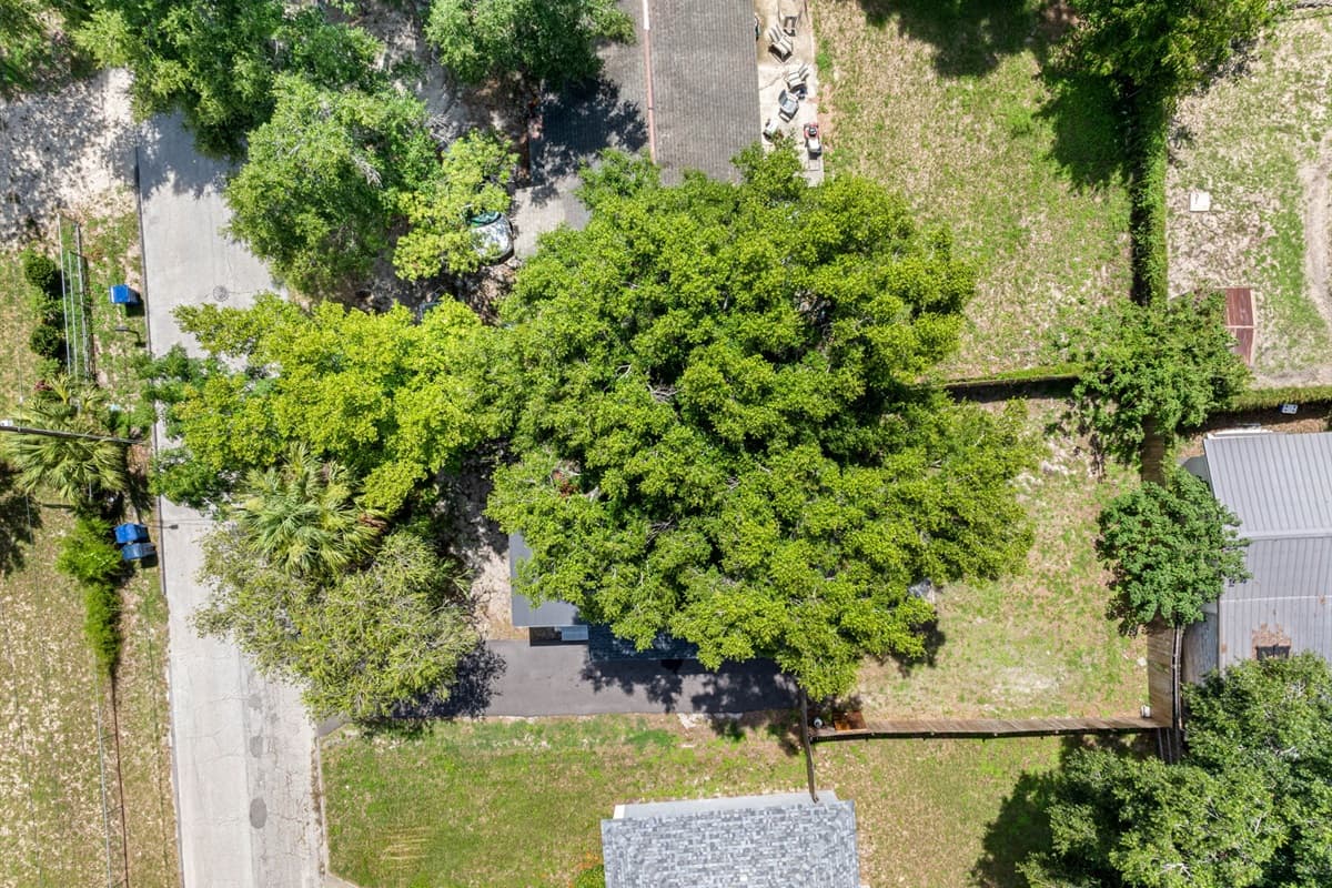 Aerial view of the neighborhood